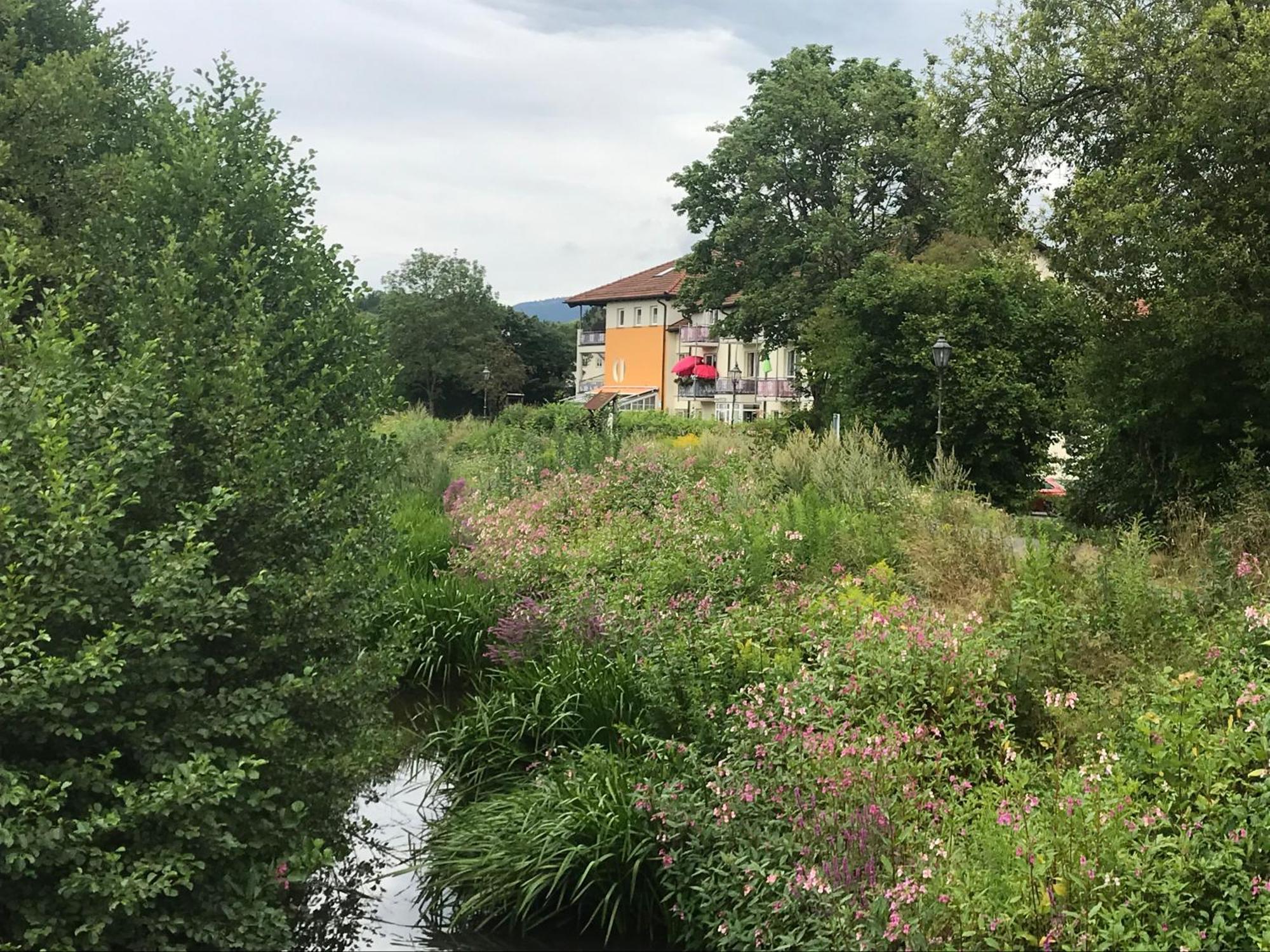 Appartamento Ferienresidenz Am Weissen Regen Kötzting Esterno foto
